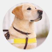 Yellow Labrador Guide Dog Graduation Envelope Seal ラウンドシール (正面)