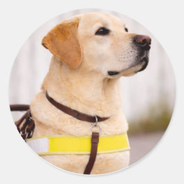 Yellow Labrador Guide Dog Graduation Envelope Seal ラウンドシール