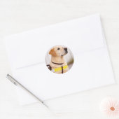 Yellow Labrador Guide Dog Graduation Envelope Seal ラウンドシール (封筒)