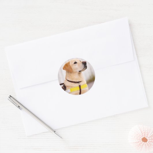 Yellow Labrador Guide Dog Graduation Envelope Seal ラウンドシール (封筒)