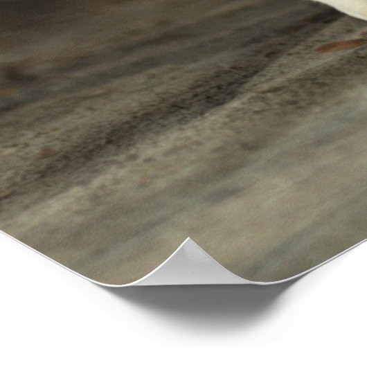 Yellow Labrador Retriever ポスター (角)