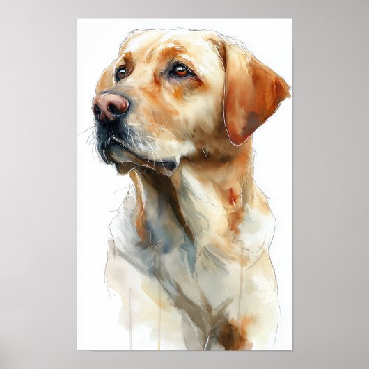 Yellow labrador retriever watercolor ポスター (正面)