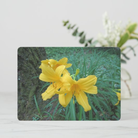 Yellow Lilies シーズンカード (スタンド正面)