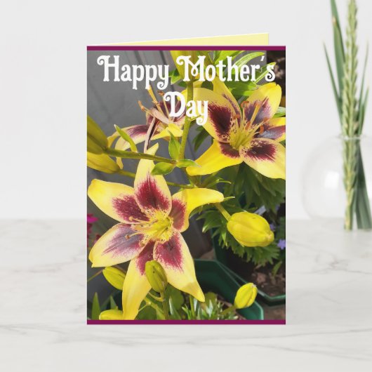 Yellow Lily Lilies Flower floral Mothers Day Card カード (正面)