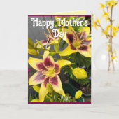 Yellow Lily Lilies Flower floral Mothers Day Card カード (黄色い花)