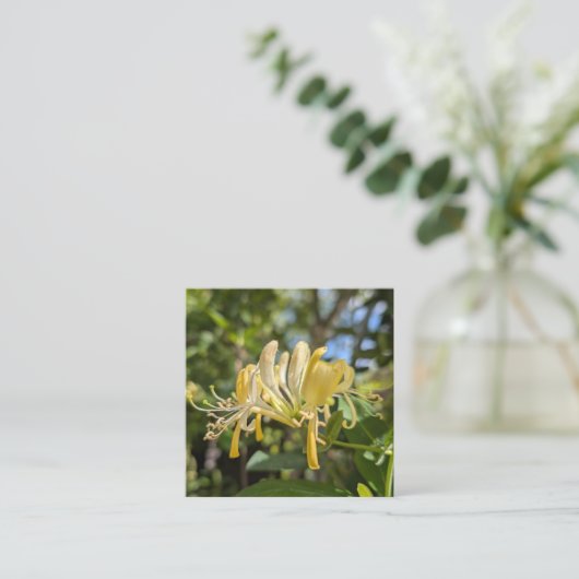 Yellow Macro Honeysuckle スクエア名刺 (スタンド正面)