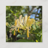 Yellow Macro Honeysuckle スクエア名刺 (正面)