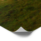 Yellow Mounts Overlook、Badlands NP、サウスダコタ ポスター (角)