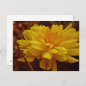 Yellow Mumはがき ポストカード (正面/裏面)