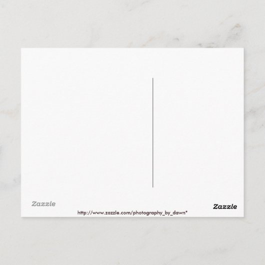 Yellow Mumはがき ポストカード (裏面)