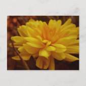 Yellow Mumはがき ポストカード (正面)