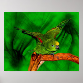 Yellow Naped Amazon Parrot Animal Art ポスター