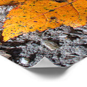 Yellow-orange Leaf Photo Poster ポスター (角)