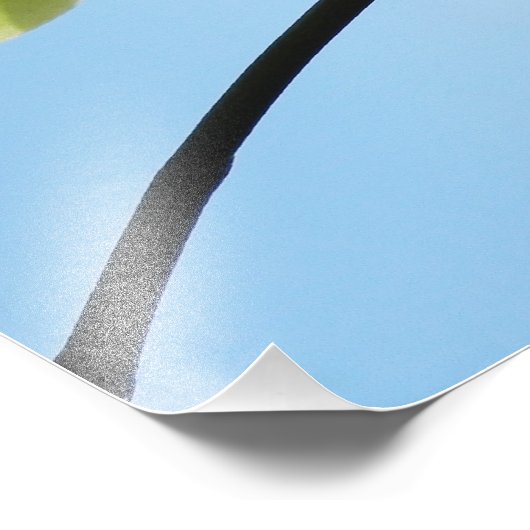 Yellow Orchids フォトプリント (角)