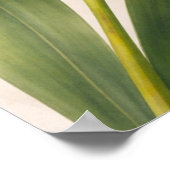 Yellow Phalaenopsis Orchid Bloom Botanical ポスター (角)