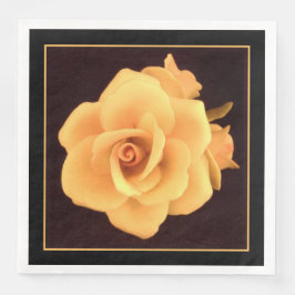 Yellow Rose, 2004 Photo.