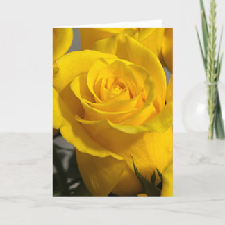 Yellow Rose Blank Note Card サンキューカード