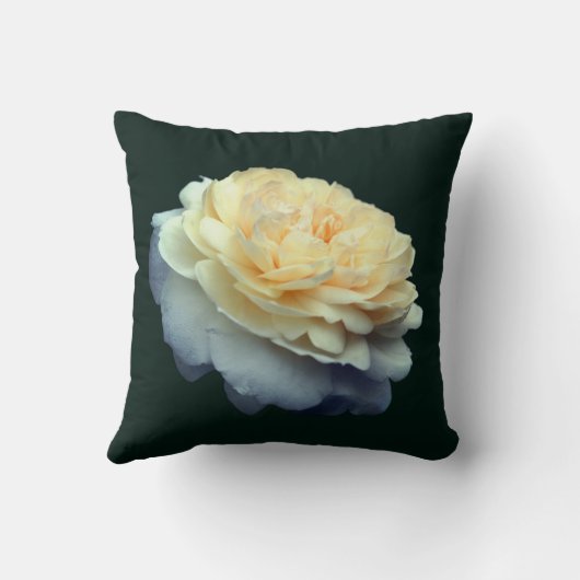 Yellow Rose Flower クッション (裏面)