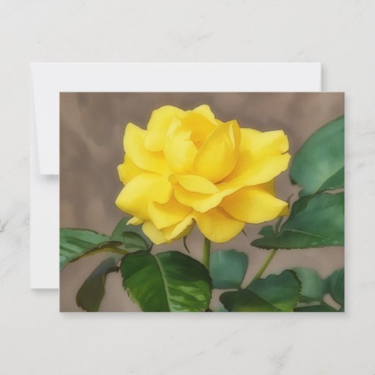 Yellow Rose Flower Art Note Card Set ノートカード (正面)