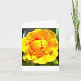 Yellow Rose Greeting Card 招待状