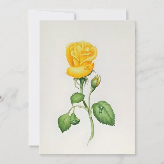 Yellow Rose In Watercolors シーズンカード (正面)
