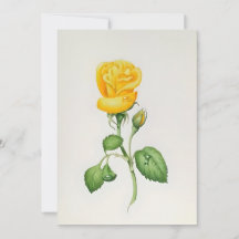 Yellow Rose In Watercolors