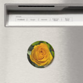Yellow Rose Magnet マグネット (インサイチュ (食洗機))