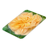 Yellow Rose Magnet マグネット (左側)