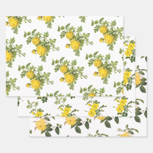 Yellow Rose Pattern ラッピングペーパーシート (セット)