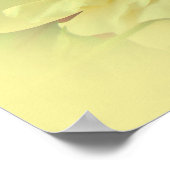 Yellow Roses ポスター (角)