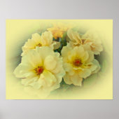 Yellow Roses ポスター (正面)