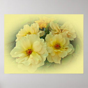 Yellow Roses ポスター