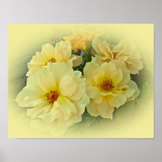 Yellow Roses ポスター (正面)