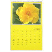 Yellow Roses Calendar (Type-B) カレンダー (3月 2027)