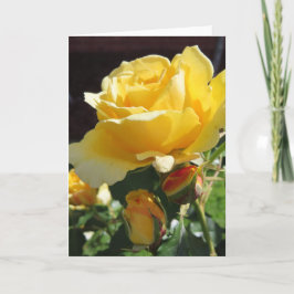 Yellow Roses Greeting Card 案内状