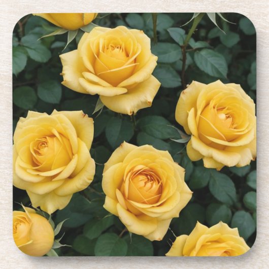 Yellow Roses Hard Plastic Coasters コースター (正面)