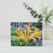 Yellow Spider Lily [Postcard] ポストカード (スタンド正面)