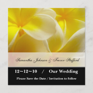 Yellow Summer日付を保存 セーブザデート