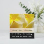 Yellow Summer日付を保存 セーブザデート (スタンド正面)