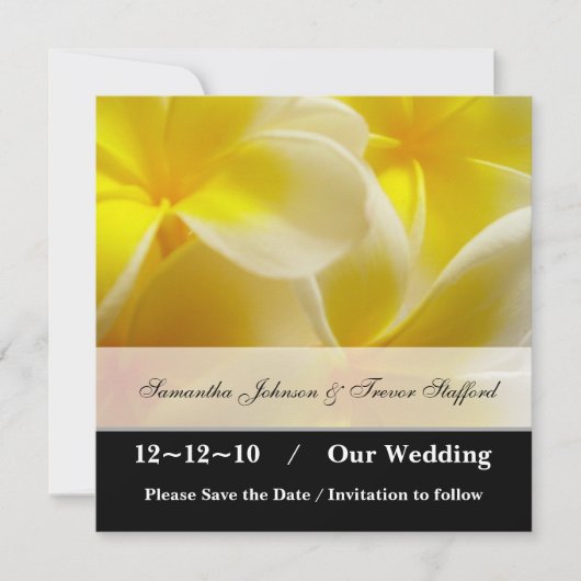 Yellow Summer日付を保存 セーブザデート (正面)