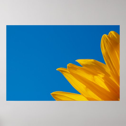 Yellow Sunflower & Azure Sky Poster ポスター (正面)
