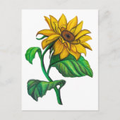 Yellow Sunflower Drawing Colored Pencil ポストカード (正面)