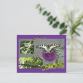 Yellow Swallowtail Collage Birthday Postcard シーズンポストカード (スタンド正面)