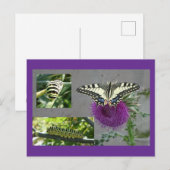 Yellow Swallowtail Collage DIY Postcard シーズンポストカード (正面/裏面)