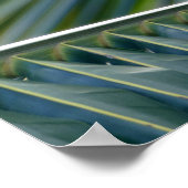 Yellow-Throated Warbler in a Palm Tree ポスター (角)
