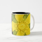 Yellow Tulip Mug ツートーンマグカップ (正面右)