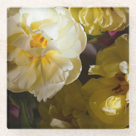 Yellow tulip photo ガラスコースター (正面)