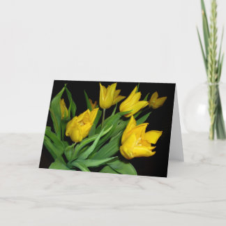 Yellow Tulips カード