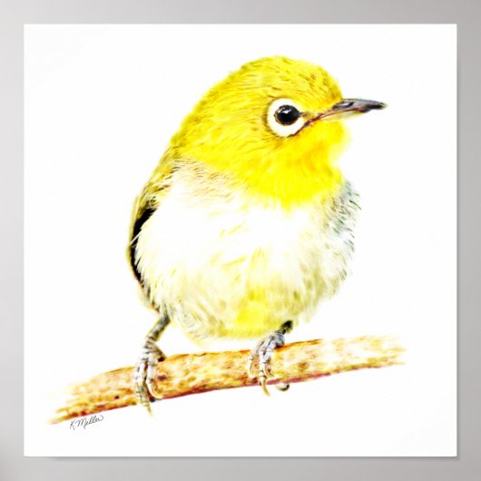 Yellow Viro ポスター (正面)