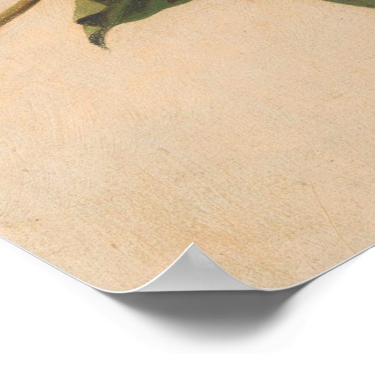 Yellow Warbler - Joseph B. Kidd Fine Art Poster ポスター (角)